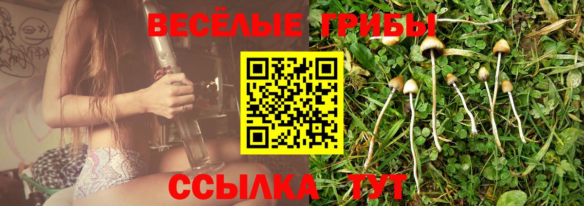 Псков  Псилоцибиновые грибы Magic Shrooms  Вход с VPN 